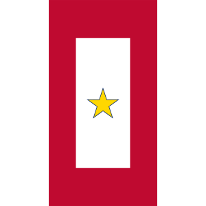 Gold_Star_flag logo (1)
